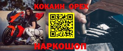 МДПВ Камышлов