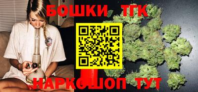 гашик Кингисепп