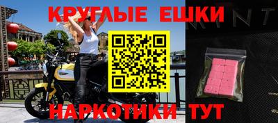 гашик Кингисепп