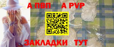 гашик Кингисепп