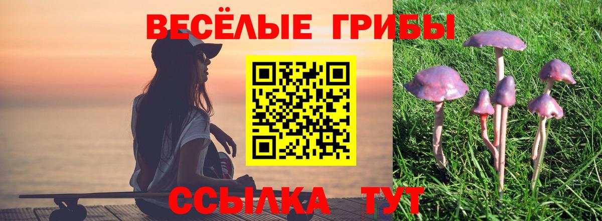 Псилоцибиновые грибы ЛСД Кропоткин