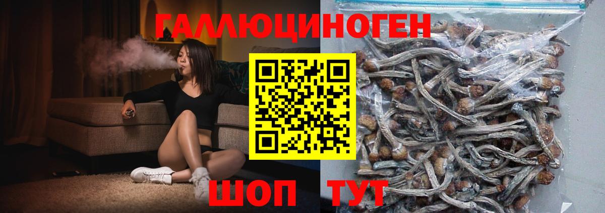 Галлюциногенные грибы GOLDEN TEACHER  Вход с VPN  Кропоткин  Галлюциногенные грибы прущие грибы 